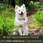 Appartement Sielankowe E 5 Bukowa Gora