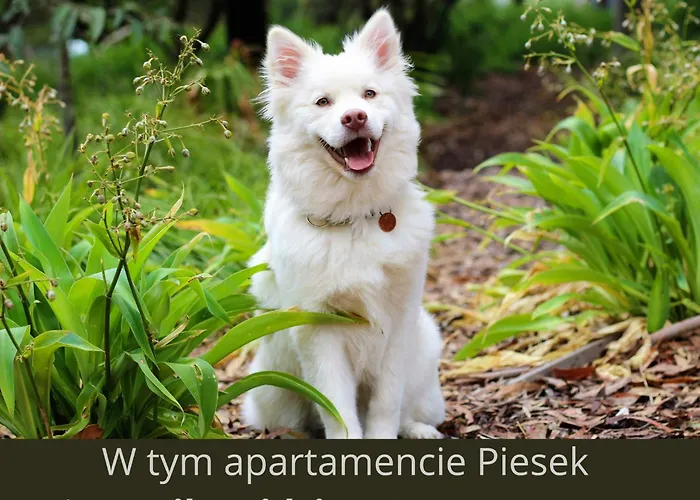 Appartement Sielankowe E 5 Bukowa Gora